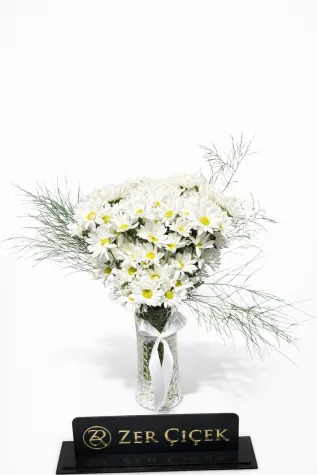 VAZO DA PAPATYA ARANJMAN 