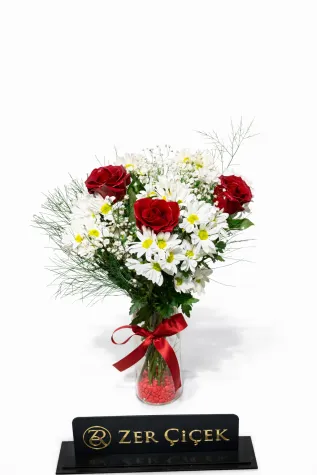 VAZODA PAPATYA- 3  GÜL