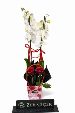 KUTUDA İTHAL ORKİDE GÜL 