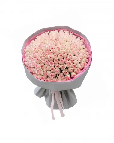 PEMBE 91 ithal gül 